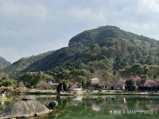 酒埕岩仙人寨