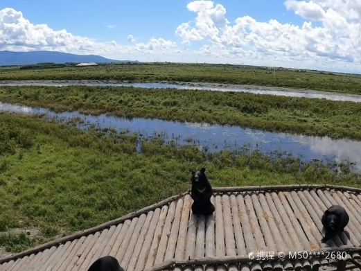 黑瞎子岛探秘野熊园