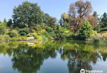 Arboretum Wojslawice景点图片