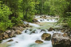 魔法森林-拉姆绍