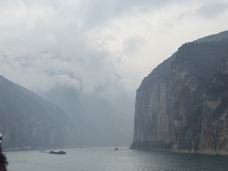 长江-宜昌-岱山香橙