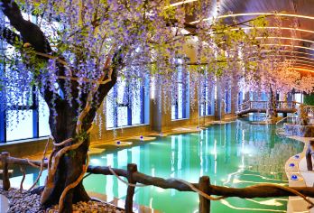 长白山天然聚龙火山温泉半日游【二道白河镇内上门免费接送。】