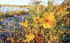 新奥尔良城市公园-新奥尔良-zhulei831230