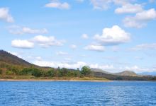 大树岛景点图片