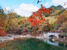蒲石河森林公园-凤城-素心如雪lavender