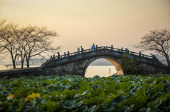 无锡游记图片] 多情秋日相约无锡，太湖畔的浪漫与情愫