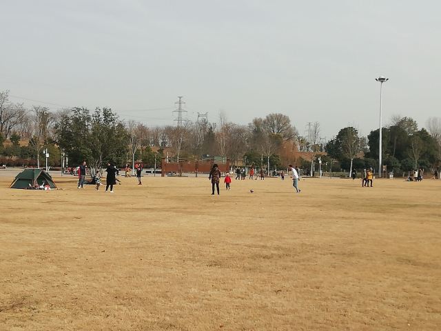 府河郊野公园旅行图片 3