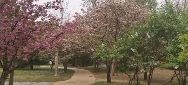回龙观生态休闲公园旅行图片 3