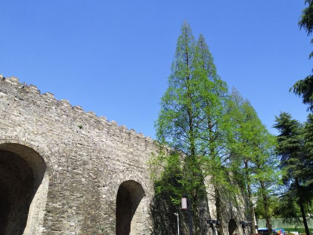 午朝门公园旅行图片 1