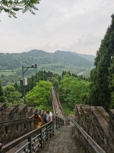 金龙长城-成都-珍珠2017