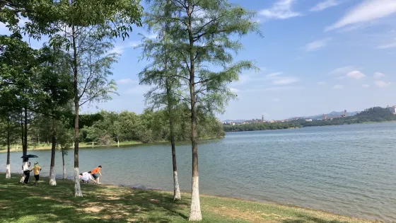 松山湖陽光沙灘