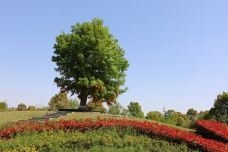 圌山-镇江-夏吹夏夜风