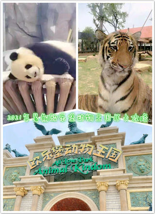 2021年暑期欧乐堡动物王国打卡攻略