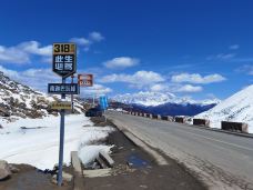 色季拉山-林芝-魔女锦鲤