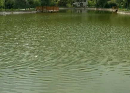 吳起縣退耕還林森林公園