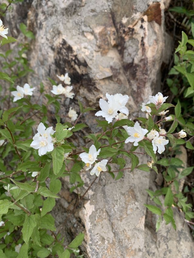 磨盘山公园旅行图片 3