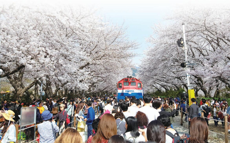 賞花看景，娛樂休閒就去慶尚南道昌原。