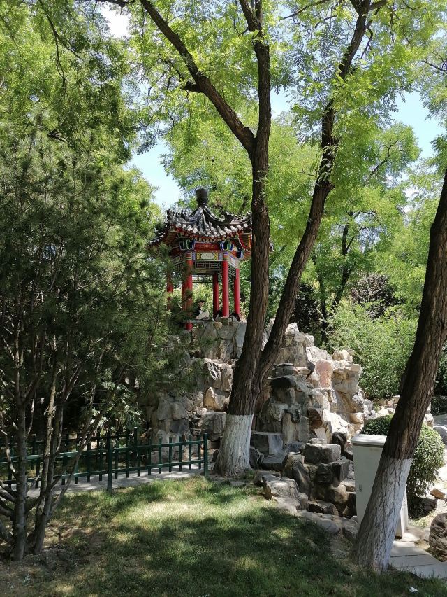莲湖公园旅行图片 2