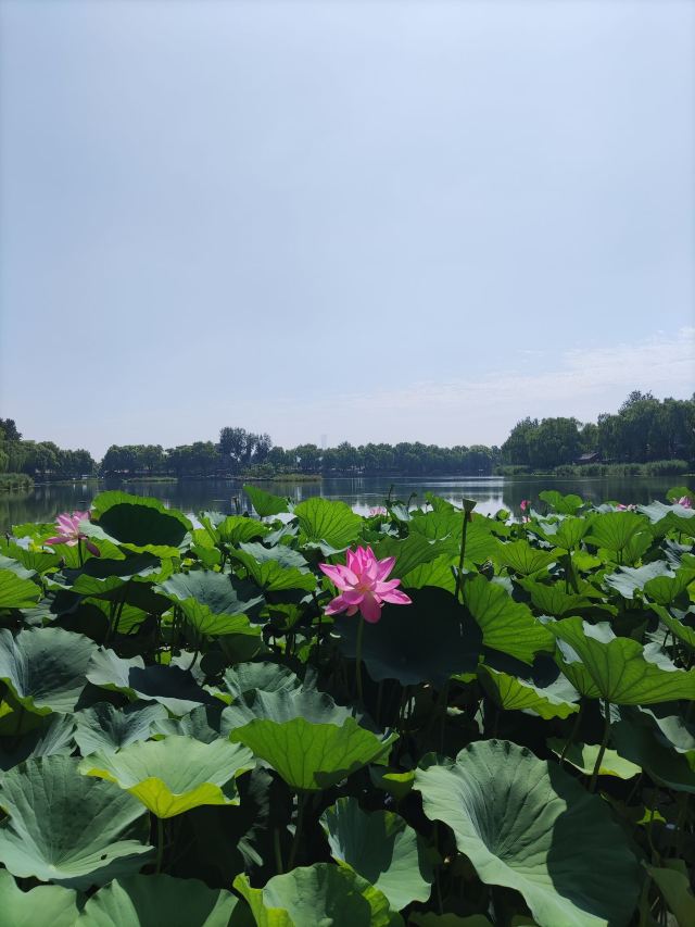 西海旅行图片 10