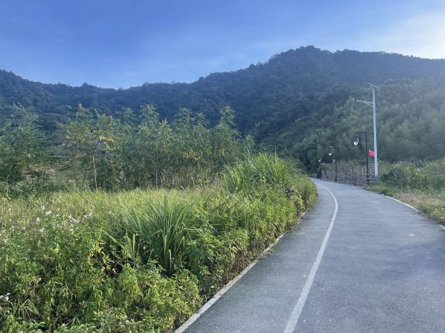 溪头村世界最佳旅游乡村旅行图片 6
