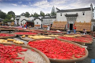 安徽有座千年古村,晒秋美景惹人醉,一到深秋就成了摄影家天堂