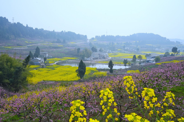 百花已开，香气正来，四川的大英你不能错过！