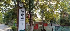 张公山公园-动物园-蚌埠