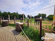 Kimba Elefánt Park-哲里区