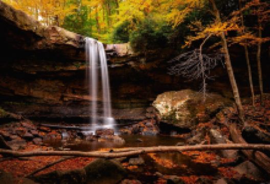 Meadow Run景点图片