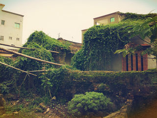 马巷街的那些大厝