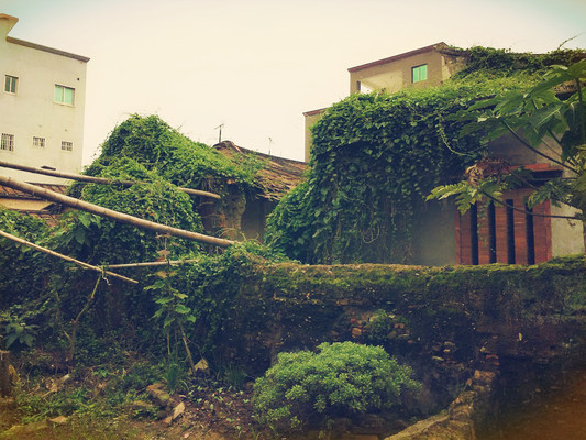 马巷街的那些大厝