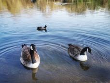 海德公园-伦敦-薄雾如沙