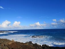 复活节岛-复活节岛-一只胖腊肠