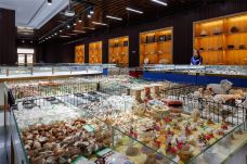 贝壳王国-秦皇岛-C-IMAGE