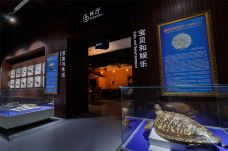 贝壳王国-秦皇岛-C-IMAGE