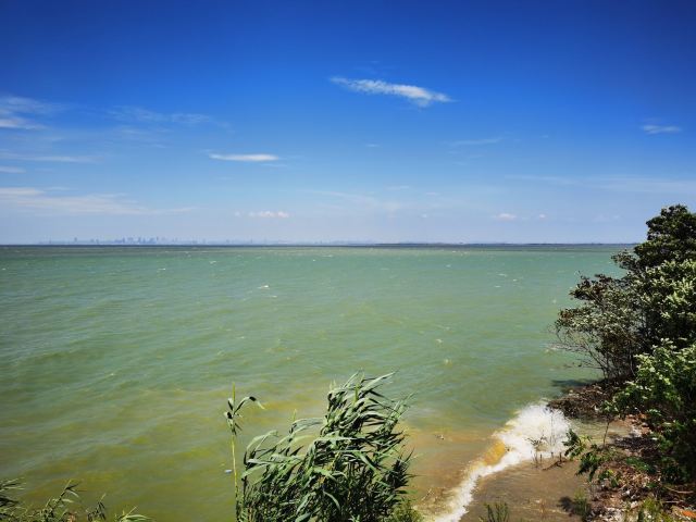 巢湖湿地旅行图片 2