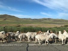 乌兰布统草原-克什克腾旗-elsashen0529