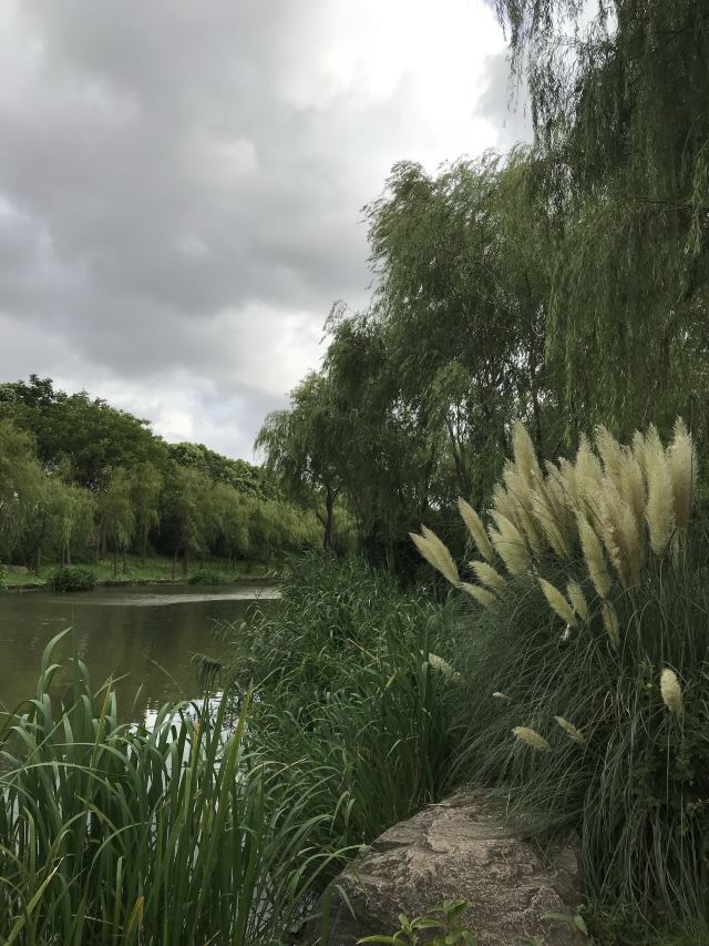 新江湾城公园旅行图片 6