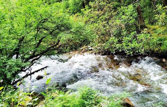 自驾毕棚沟2日游，在第一家乡村民宿避雨，却被这的美食勾住了胃