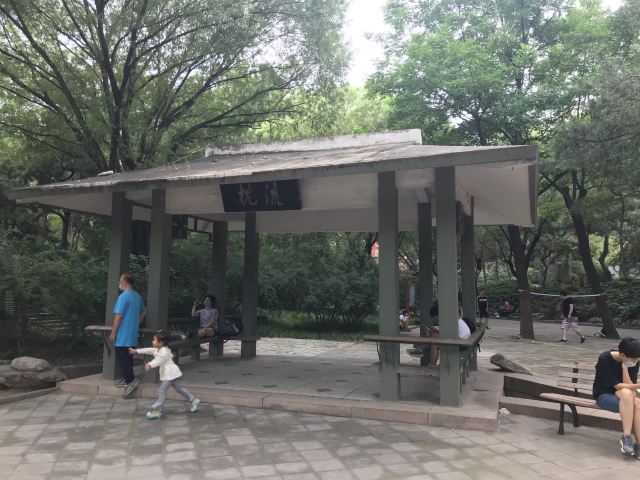 双秀公园旅行图片 15