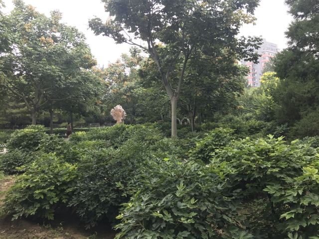 双秀公园旅行图片 3