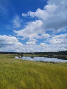 七星湖湿地公园-围场-平行线🔆