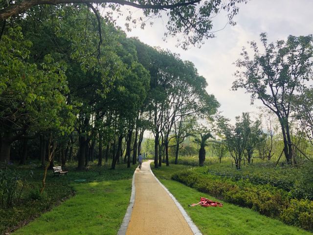 昆山市城市生态森林公园旅行图片 2