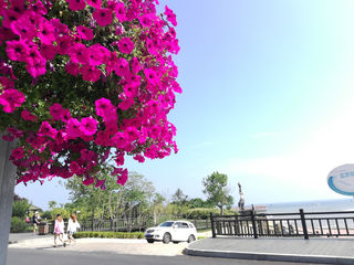 大连—丹东—鸭绿江之旅