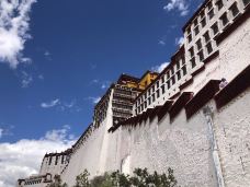 布达拉宫白宫-拉萨-Chenhutamu