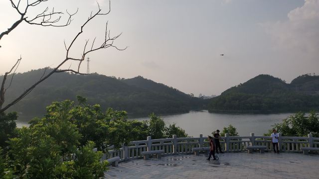 金钟水库旅行图片 4