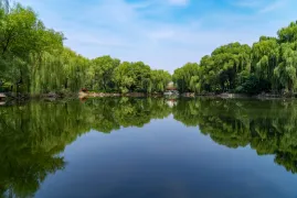 1-Day Shandong Tour: Peony Cultural Feast, Historical Charm of Caozhou Old Town
