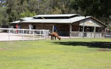 天堂农庄-奥克森福德-小凌60