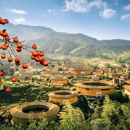 厦门+鼓浪屿5日4晚跟团游