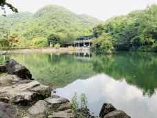 野趣沟-河源-不一样的花茶